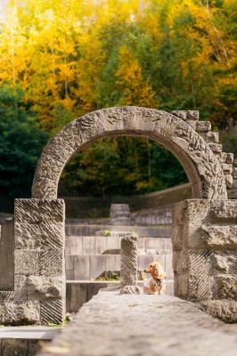 アートのある公園