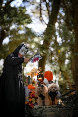 森のハロウィン