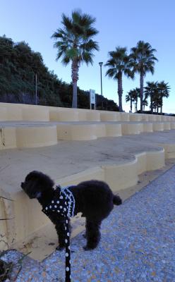 10月の朝のビーチ