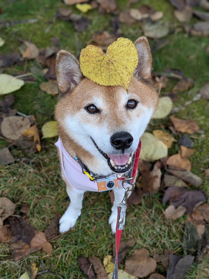 ハート♥