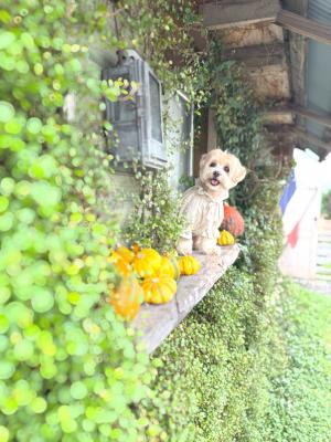 Moco’s CAFEへようこそ