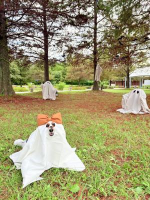 おばけの仲間入り