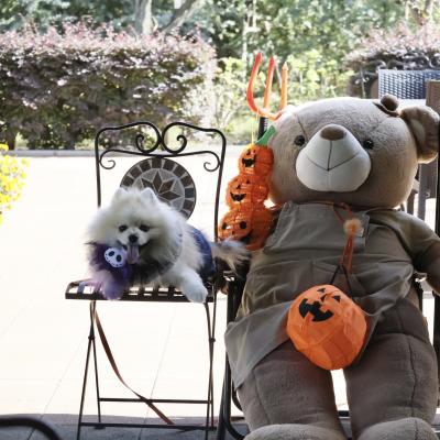 ハロウィンくまさんとツーショット