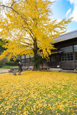 ノスタルジックな秋