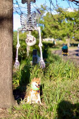 ガイコツにあったよ