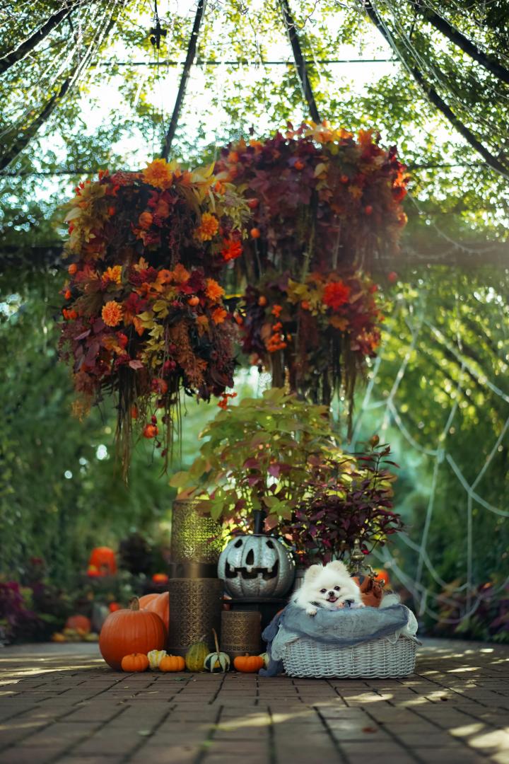 ハッピーハロウィンお手手添え