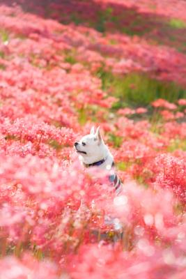秋色に包まれて