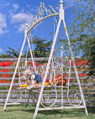 ブランコで満面の笑み