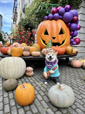 ハロウィンライブ