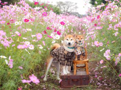 ふたりだけの隙間