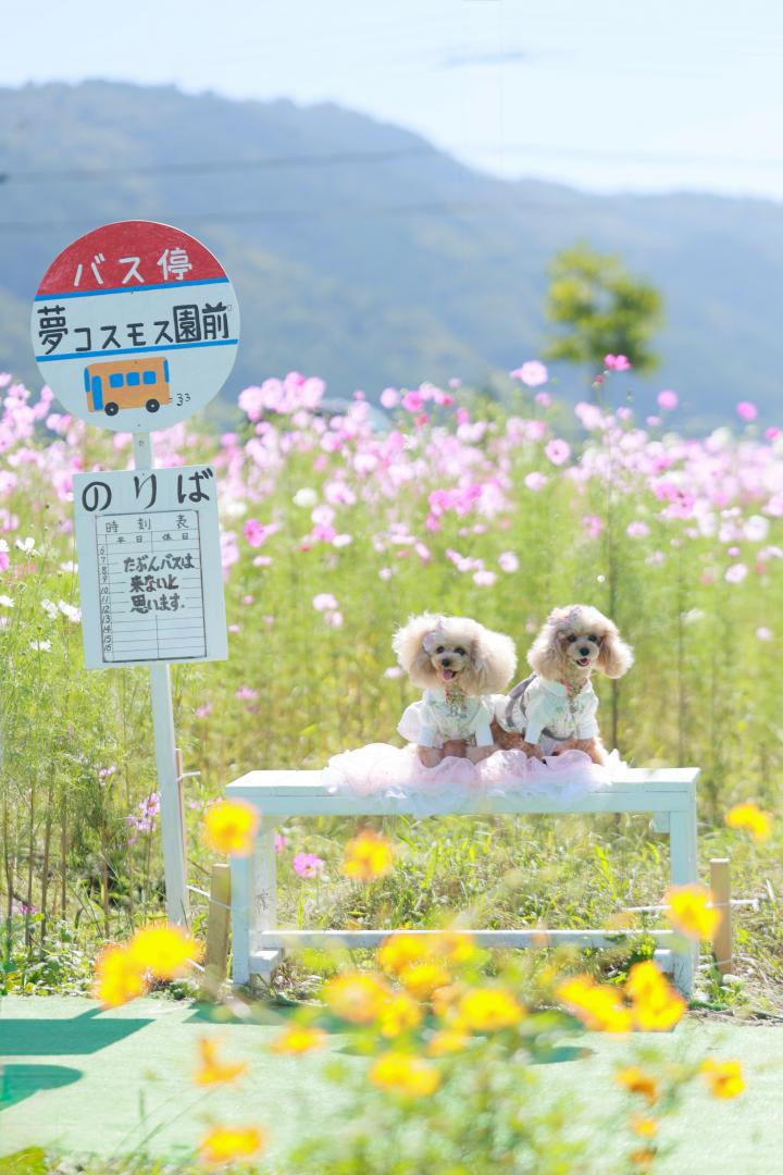 バスまだかな～？