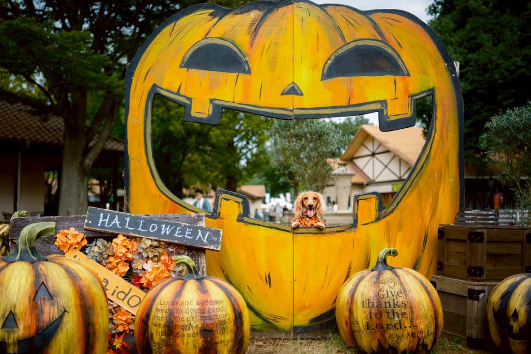 Halloween