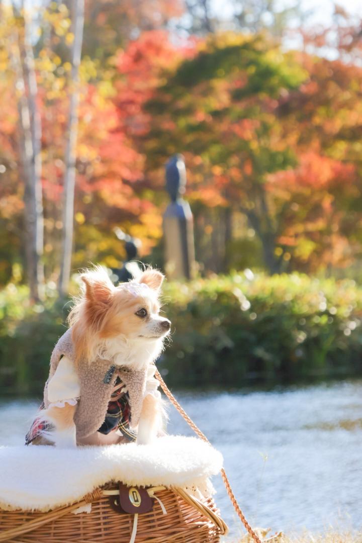 キラキラしてるね