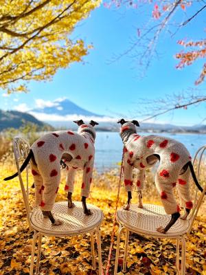 富士山と紅葉