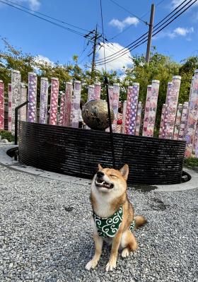 初秋の空気に深呼吸