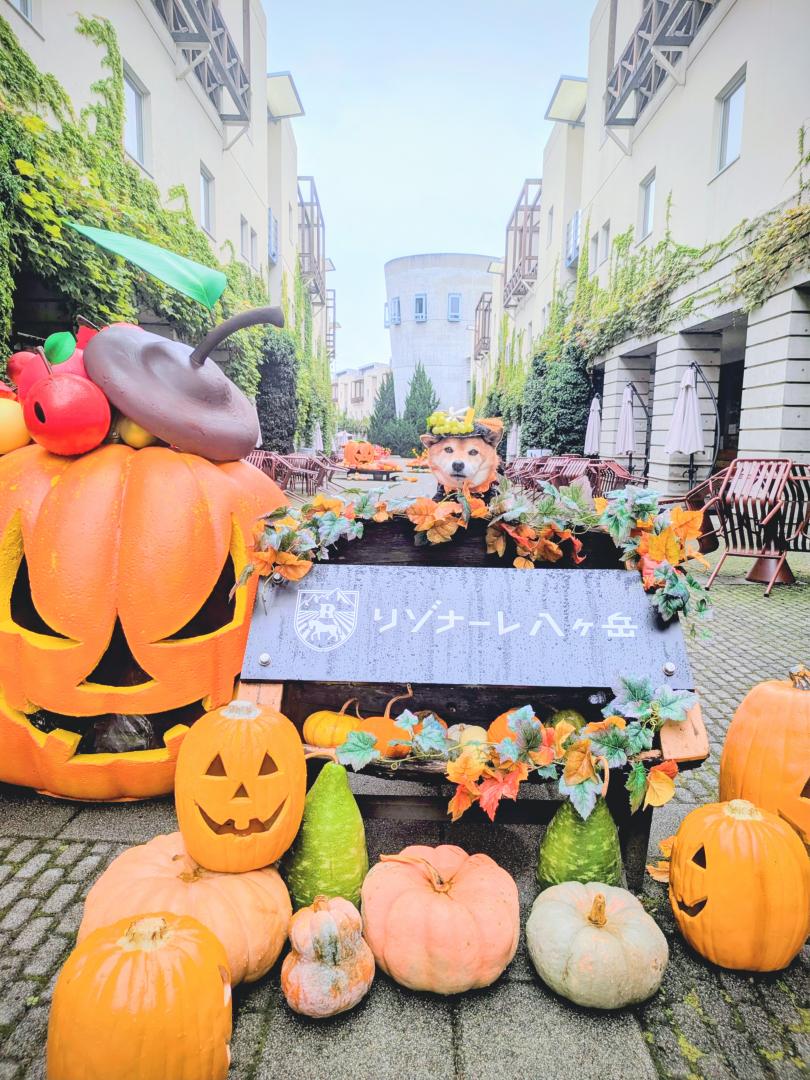 フルーツハロウィン