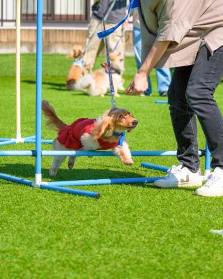 秋の大運動会にて✨