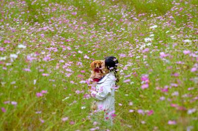 秋桜に囲まれて