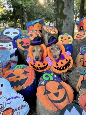 どこにいるでしょう？