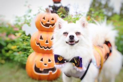 にこにこハロウィン