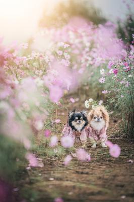 優しい光に包まれて