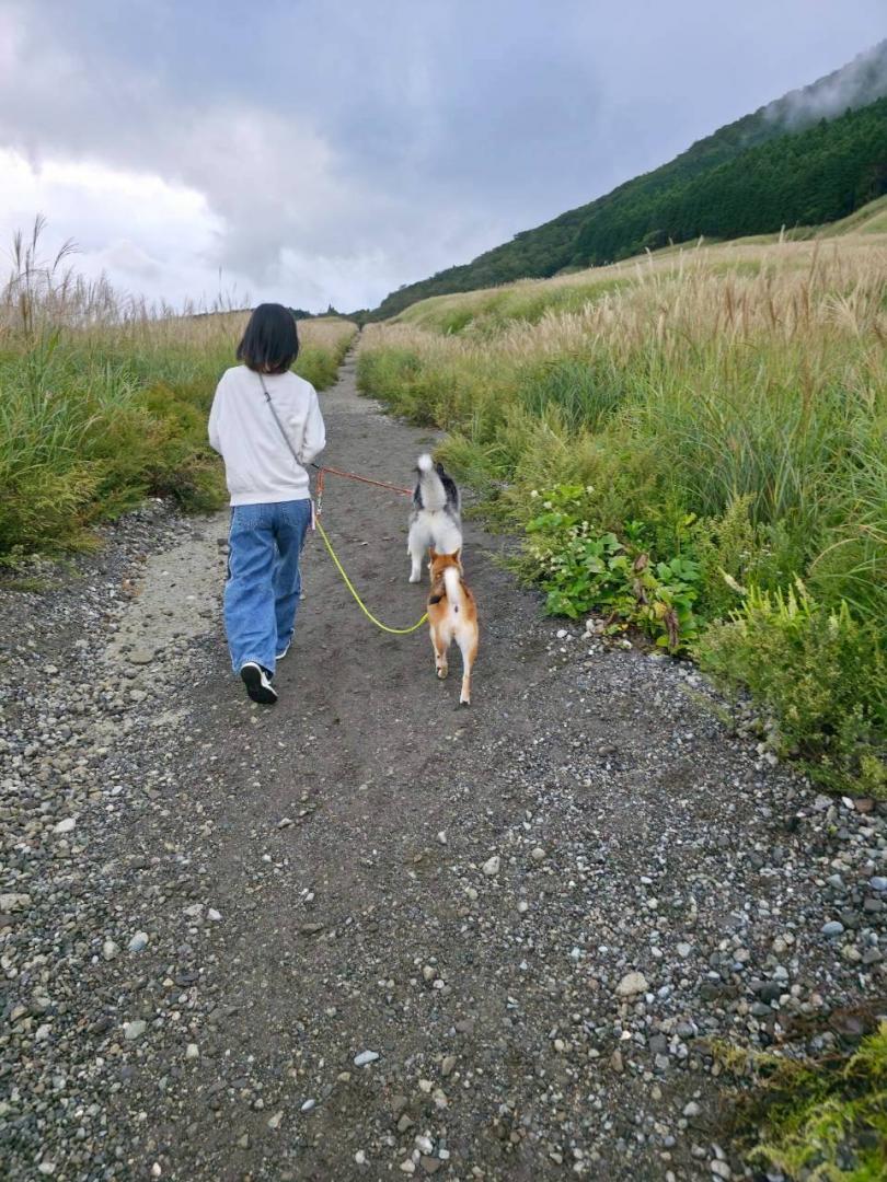 すすき草原でお散歩