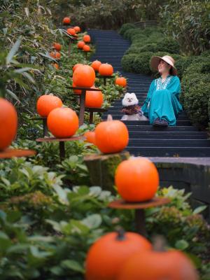 森のハロウィン