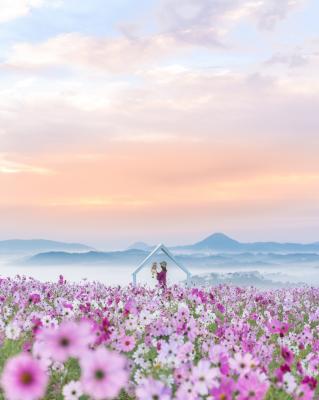 一緒に来られたね