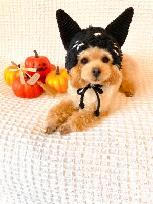 もうすぐHalloween！！