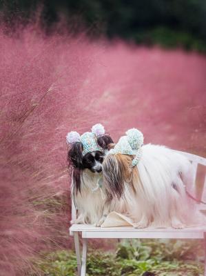 ナイショのお話