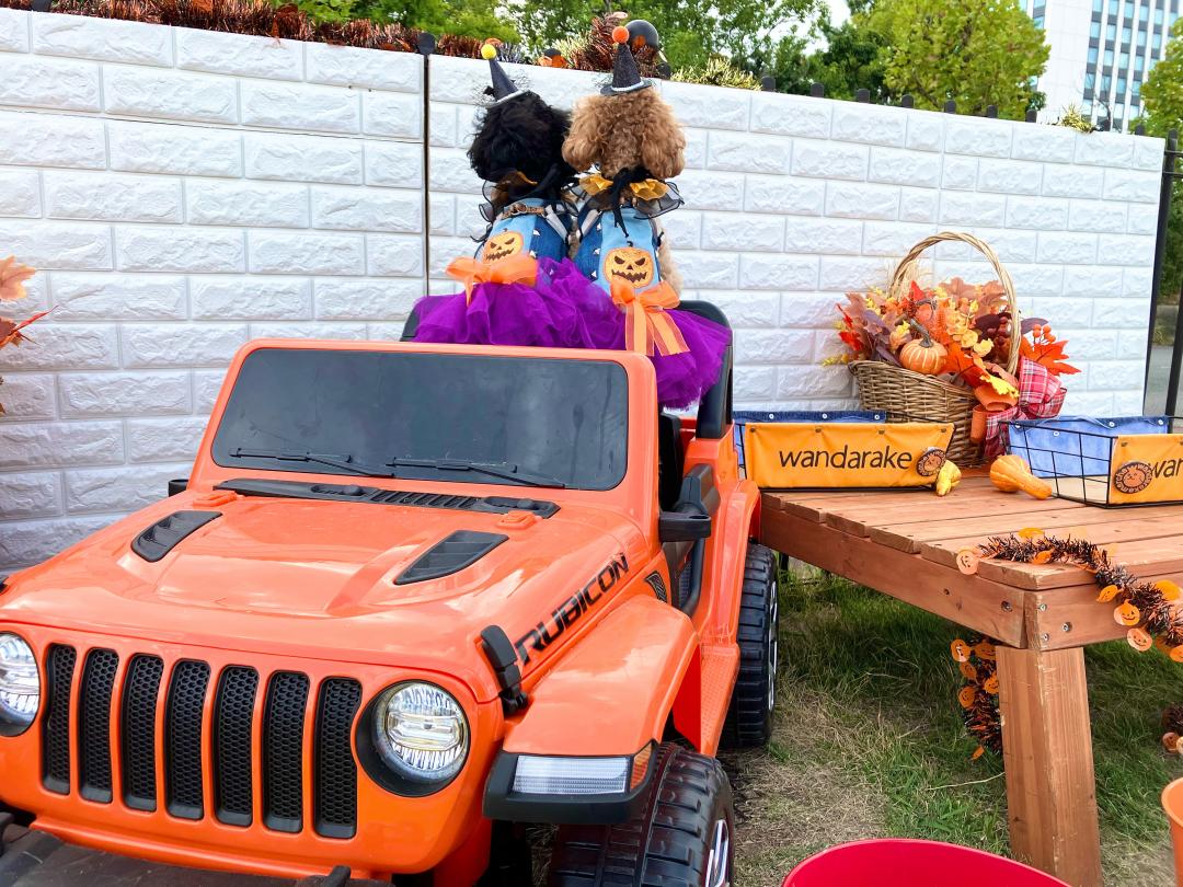 Happy Halloween 