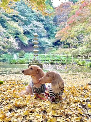 秋の澄んだ空気の中で