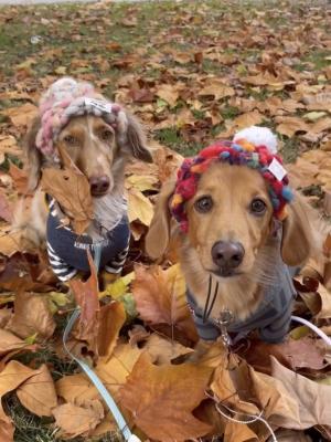 何かがほっぺについてるよ