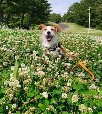 眩しいくらいの笑顔