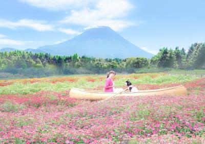 虹色の海を旅する小舟