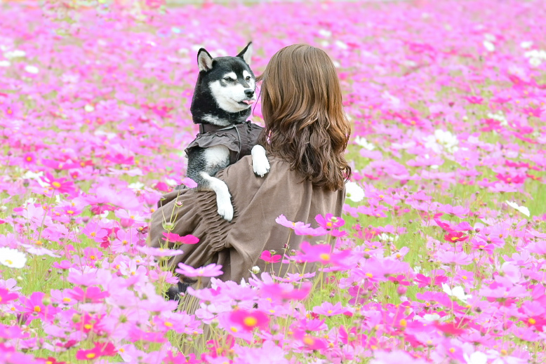 ピンクの世界