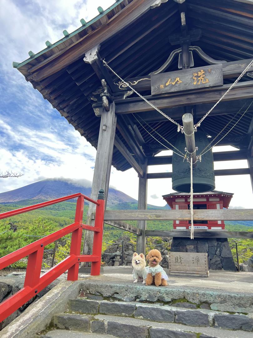 初めての鬼押出し園