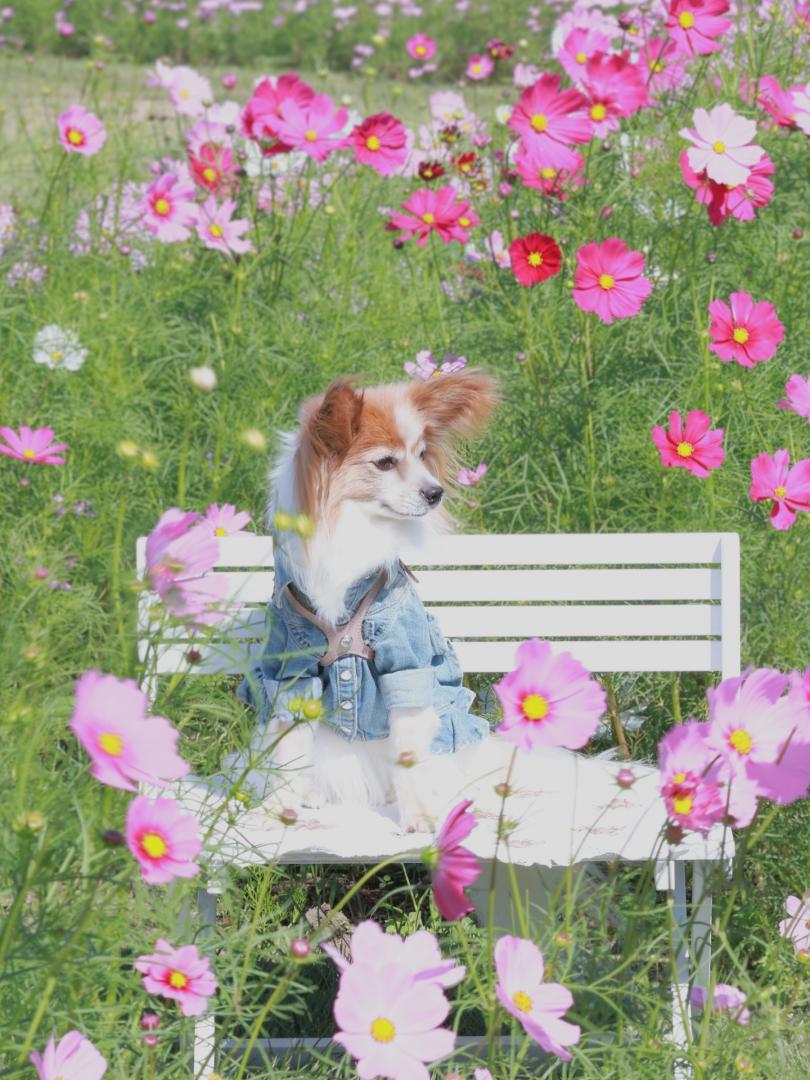 風に吹かれて