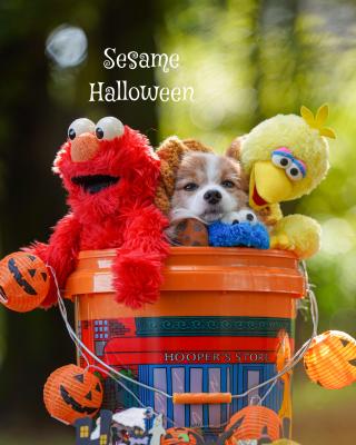 セサミハロウィン