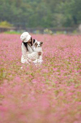 赤そば～ピンクの世界