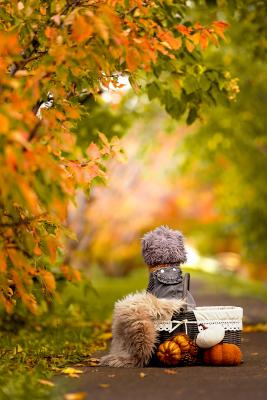 まま、どこいった？