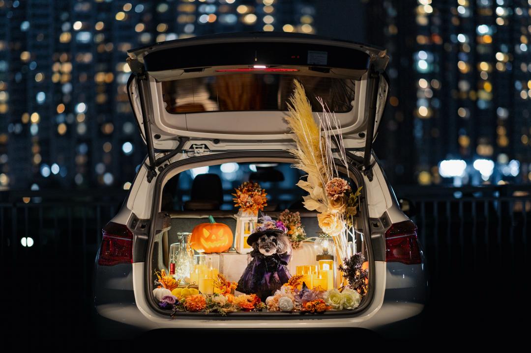 Trick or Treat