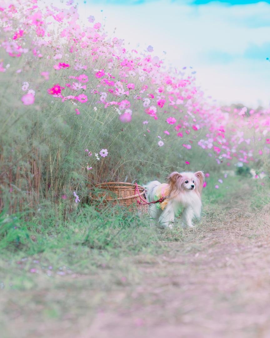 goodbye SUMMER