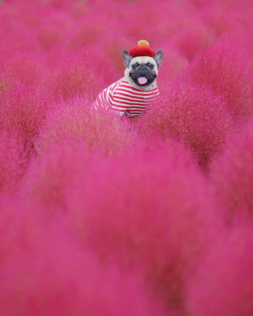 PINK PINK PINK!