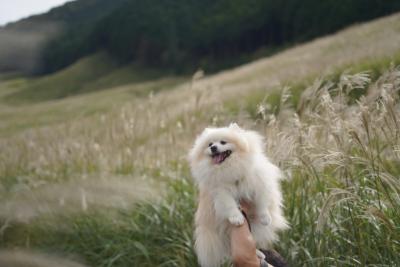 秋の気配