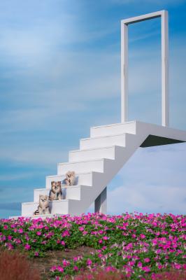 天高く馬肥ゆる秋