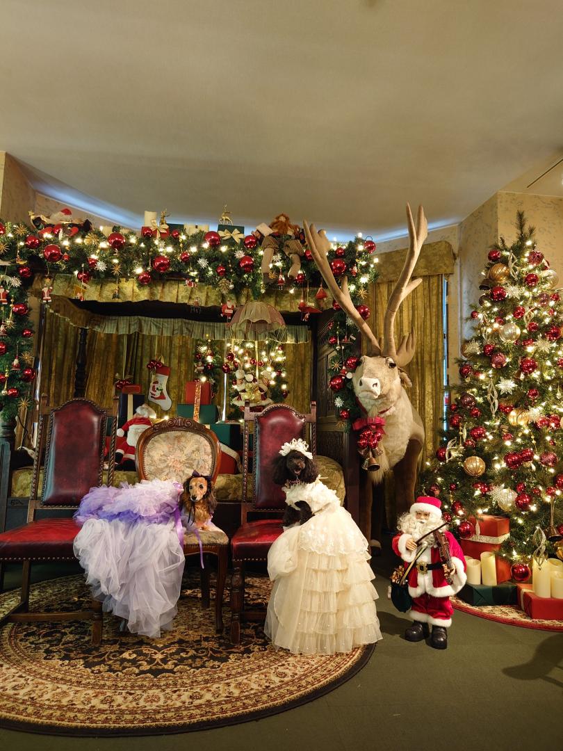 Castle Christmas