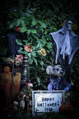 ダークHalloween