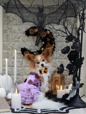 ハロウィンフォトブース