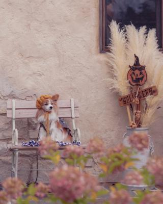 ナチュラルハロウィン